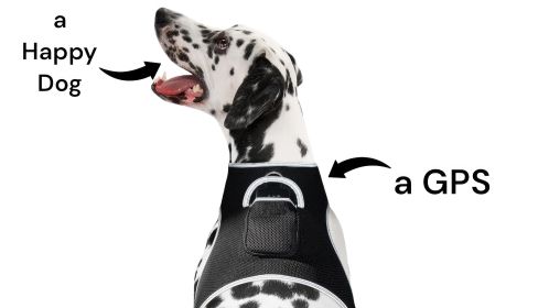 Pet Tracker Wireless Pet Security Surveillance GSM GPS Dog Tracking System Size:XS
