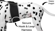 Pet Tracker Waterproof GSM GPS Dog Tracking Devices Wireless Pet Security Size:XS