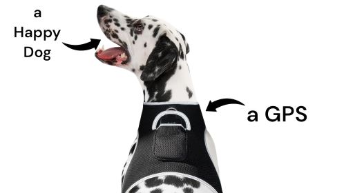 Mini Pet Tracking Collar Wireless Surveillance Security for Cats Dogs Size:S