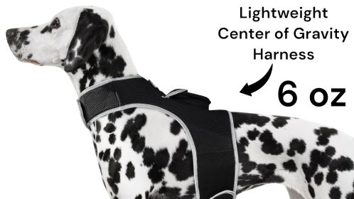 Wireless Dog Security Surveillance Portable GPS Tracker for Pets + App Size:XL