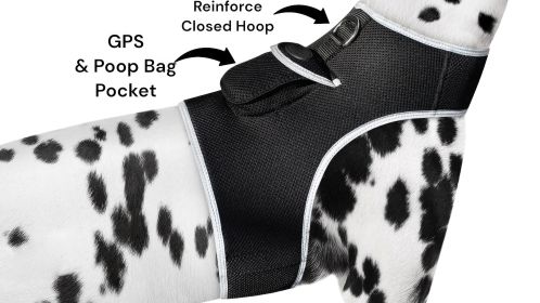 Wireless Dog Security Surveillance Portable GPS Tracker for Pets + App Size:S