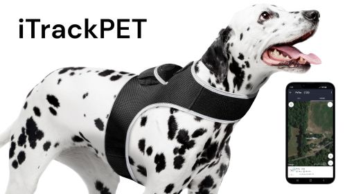 Pet Tracker Security Collar GPS for Pet Wireless GSM GPRS Tracking System Size:XXL