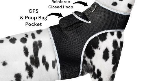 Mini GPS GSM Tracking Dog Collar Device Rechargeable Wireless Security Size:XXL
