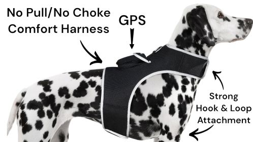 Pet Tracker Motion Detection Rechargeable Pet Finder Best GPS Dog Tracker Size:XXL