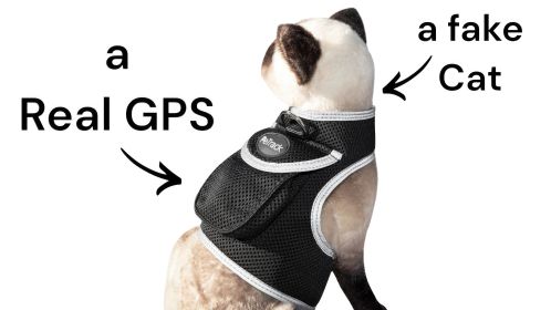 Wireless Dog Security Surveillance Portable GPS Tracker for Pets + App Size:XXL