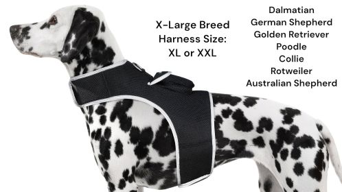 Wireless GPS Pet Security Surveillance Remote Tracking System Locator Size:XXL