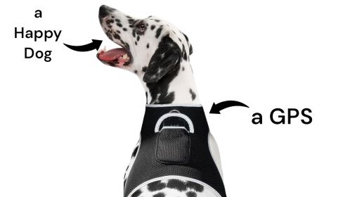 Waterproof GPRS GPS Dog Tracking Collar Wireless Pet Security Locator Size:XXL