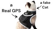 Pocket Collar Pet GPS Tracking Device Dog Cat Wireless Security System Size:XL