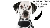 Waterproof Tracking Collars Pet Security Surveillance Tracker Wireless Size:XS