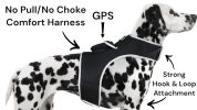 Wireless GPS Pet Chip Tracker for Realtime Pet Surveillance Security Size:M