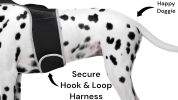 Waterproof GPRS GPS Dog Tracking Collar Wireless Pet Security Locator Size:XL