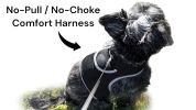 Realtime App Wireless Pet Security GSM GPS Dog Tracking Collars Device Size:XS