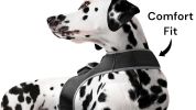 Wireless GPS Pet Chip Tracker for Realtime Pet Surveillance Security Size:L