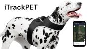 Realtime App Wireless Pet Security GSM GPS Dog Tracking Collars Device Size:XS