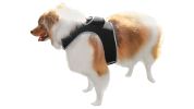Pet Tracker Waterproof GSM GPS Dog Tracking Devices Wireless Pet Security Size:XS