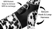 Wireless GPS Pet Chip Tracker for Realtime Pet Surveillance Security Size:L