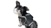 Pet Tracker Waterproof GSM GPS Dog Tracking Devices Wireless Pet Security Size:XS
