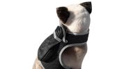 Wireless GPS Pet Chip Tracker for Realtime Pet Surveillance Security Size:L