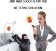 Surveillance GPS Tracker Providing Safety & Security For Pony Cars