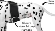 Pet Tracker Wireless Pet Security Surveillance GSM GPS Dog Tracking System Size:XXL