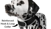 Pet Tracker Wireless Pet Security Surveillance GSM GPS Dog Tracking System Size:XL
