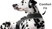 Wireless GPS Pet Security Surveillance Remote Tracking System Locator Size:S