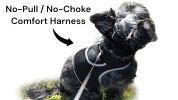Wireless GPS Pet Chip Tracker for Realtime Pet Surveillance Security Size:L