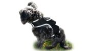 Pet Tracker Waterproof GSM GPS Dog Tracking Devices Wireless Pet Security Size:XS